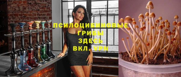гидропоника Краснослободск