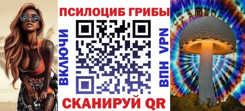 Псилоцибиновые грибы Magic Shrooms  Купить где  Медынь 